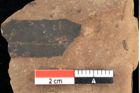 Foto (Detailsansicht) von Quercus palaeoilex Ettingshausen (NHMW-GEO-2024-0188-0811)